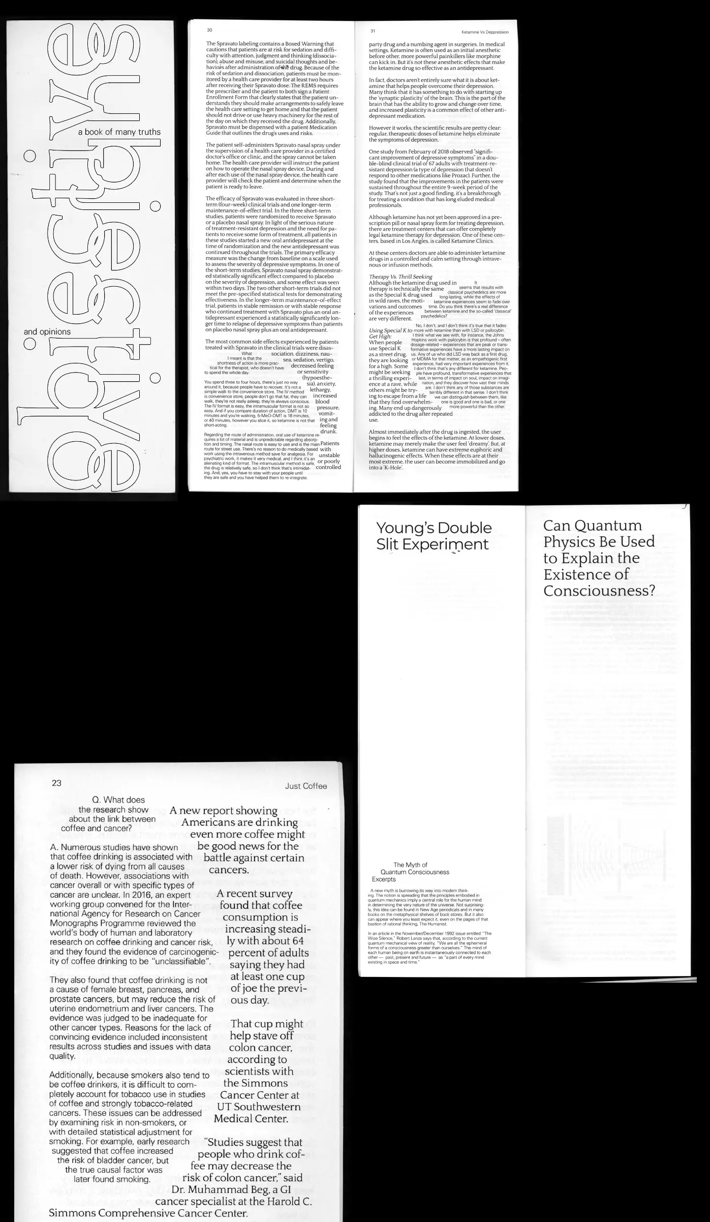 Inner pages of the publication