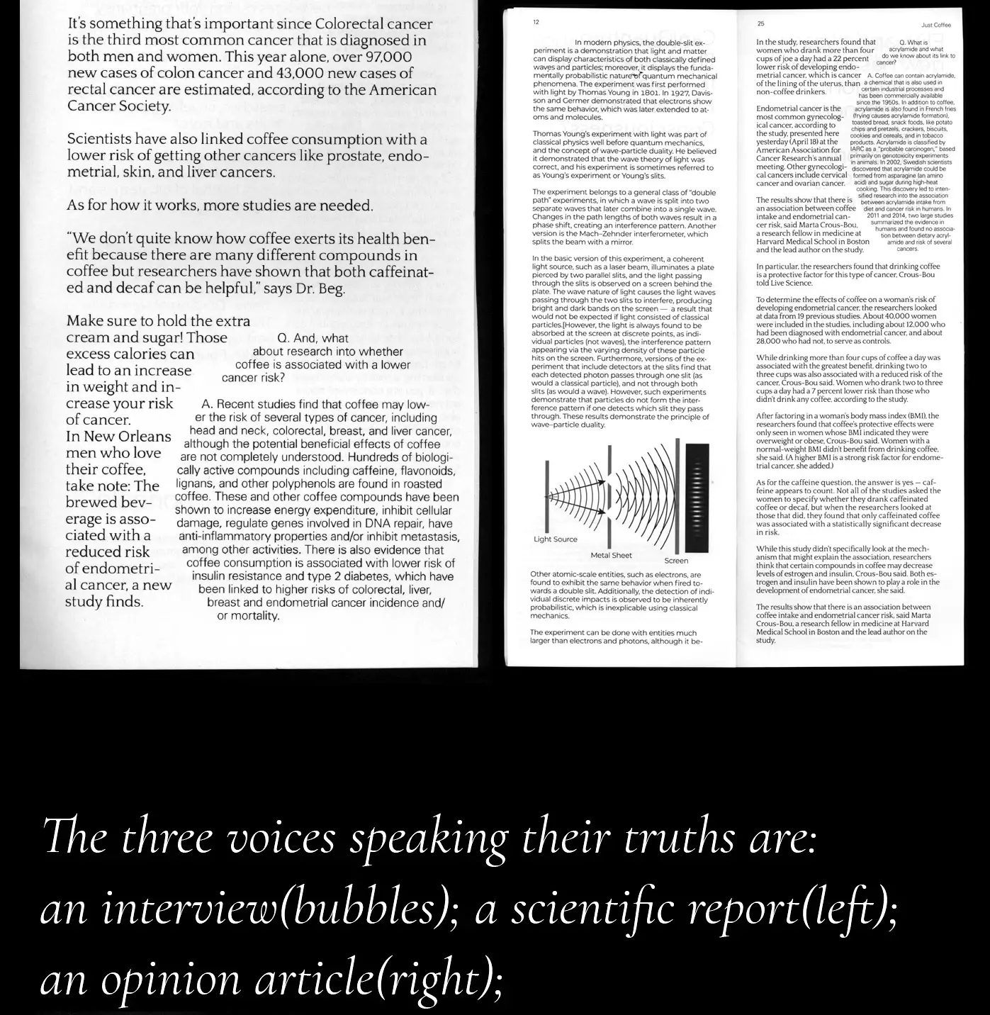 Inner pages of the publication