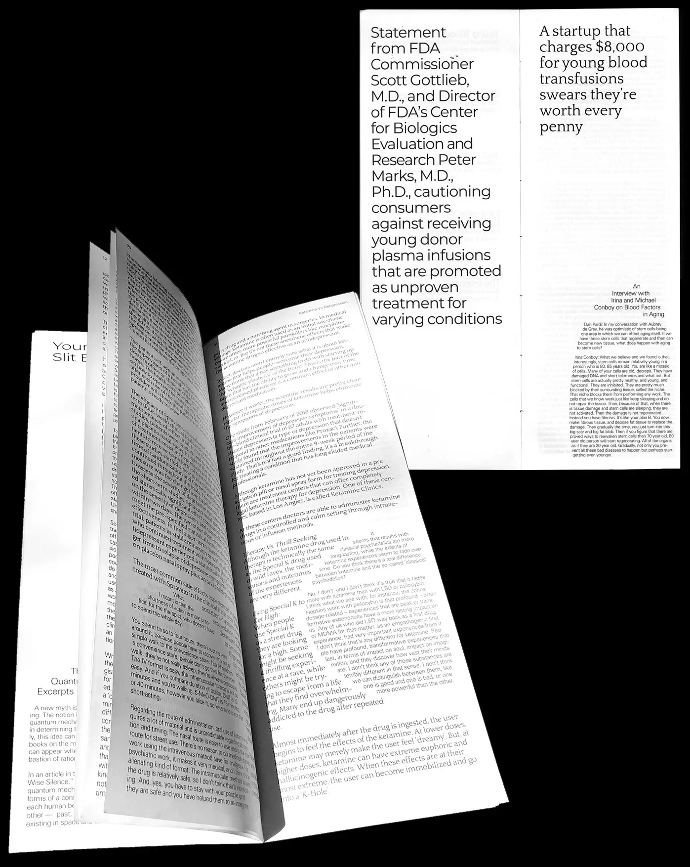 Inner pages of the publication